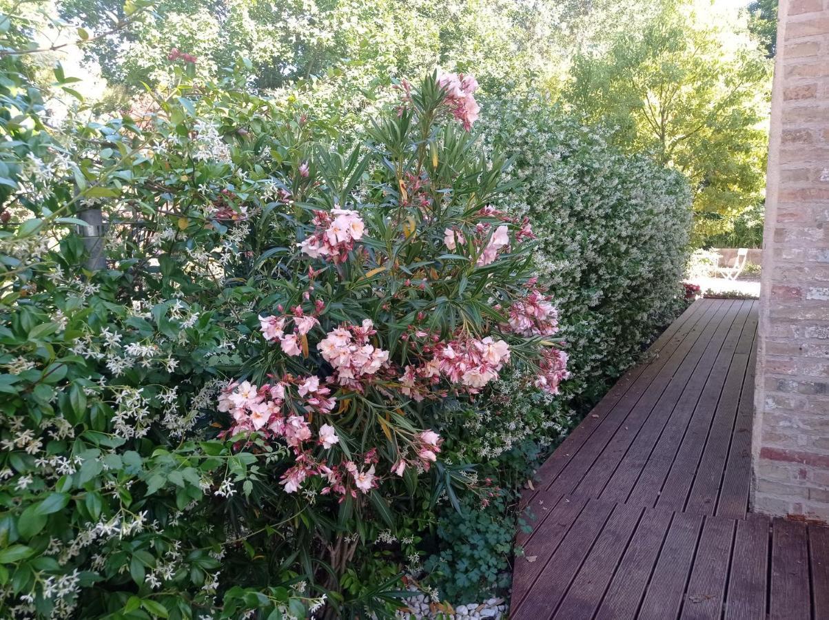 רקאנטי La Casa Di Tara B&B Armonia E Natura מראה חיצוני תמונה
