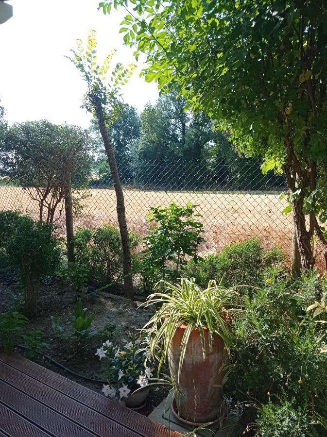 רקאנטי La Casa Di Tara B&B Armonia E Natura מראה חיצוני תמונה