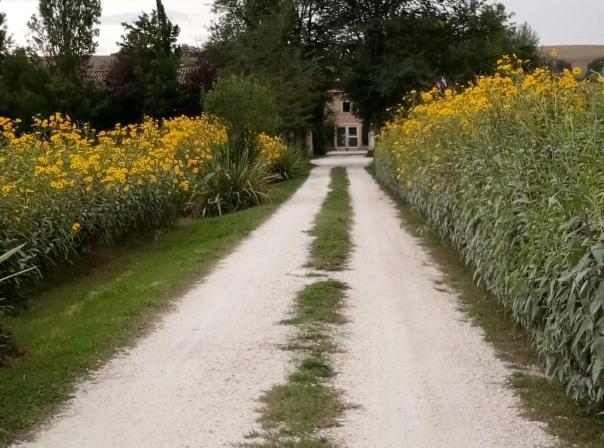 רקאנטי La Casa Di Tara B&B Armonia E Natura מראה חיצוני תמונה