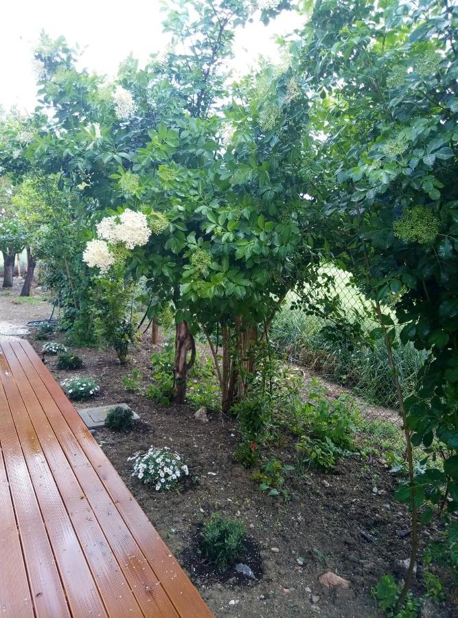 רקאנטי La Casa Di Tara B&B Armonia E Natura מראה חיצוני תמונה