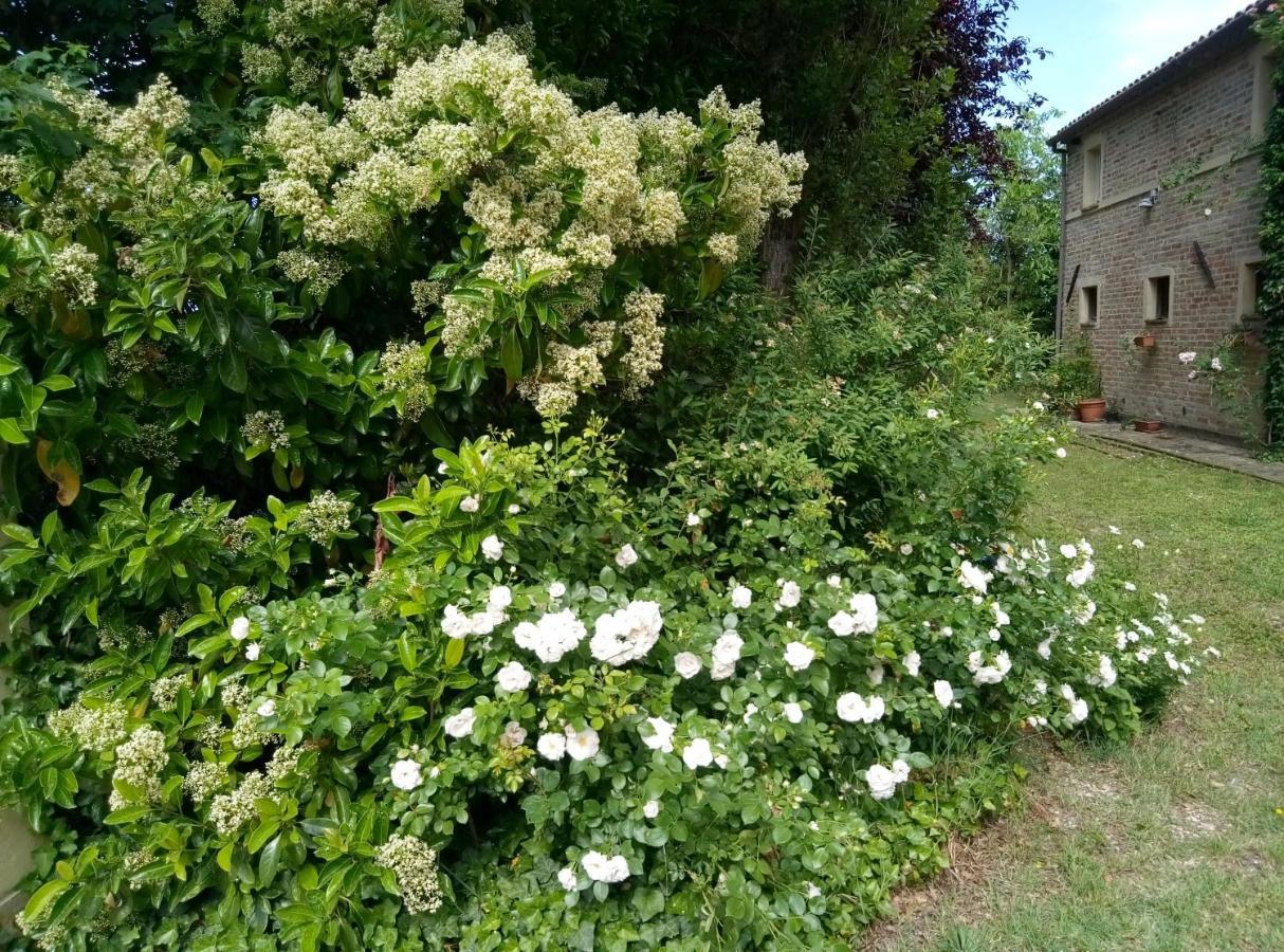 רקאנטי La Casa Di Tara B&B Armonia E Natura מראה חיצוני תמונה