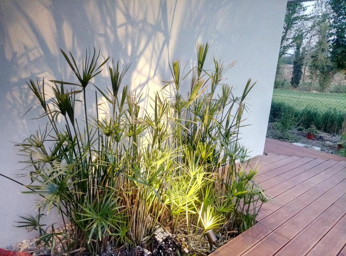 רקאנטי La Casa Di Tara B&B Armonia E Natura מראה חיצוני תמונה